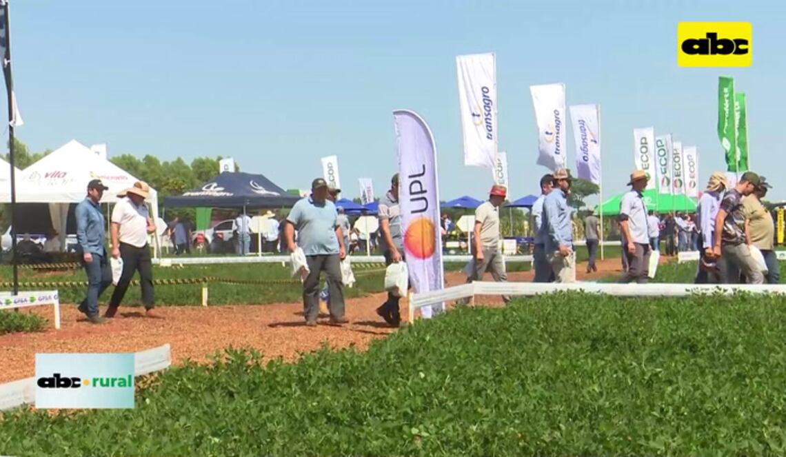 Background ABCTV JWP