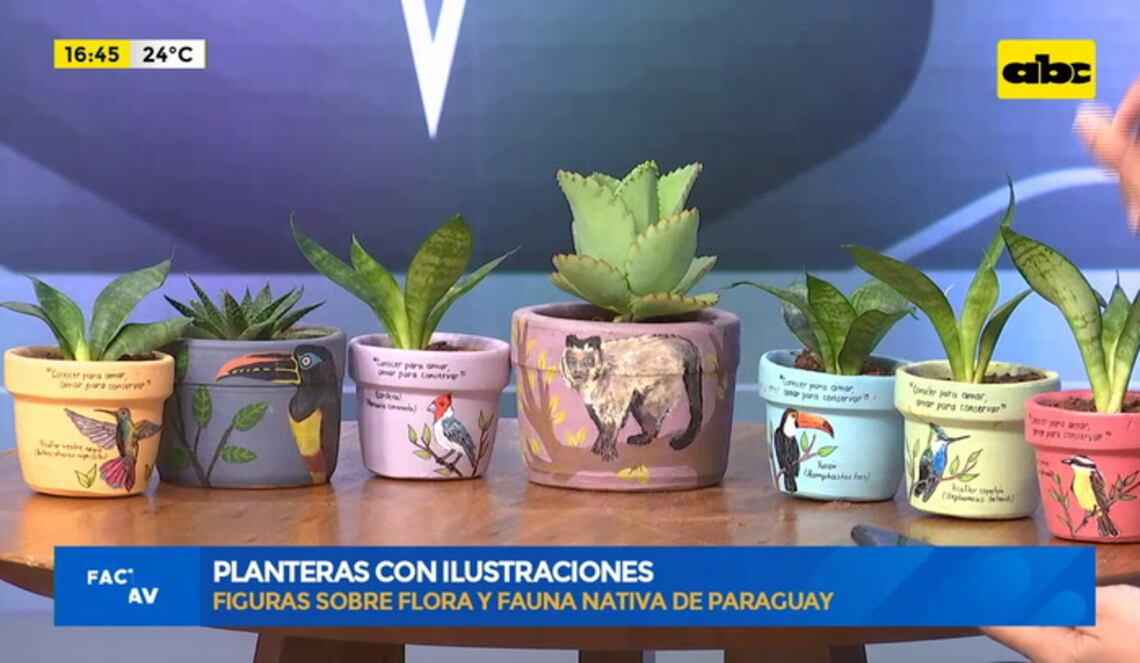 Background ABCTV JWP