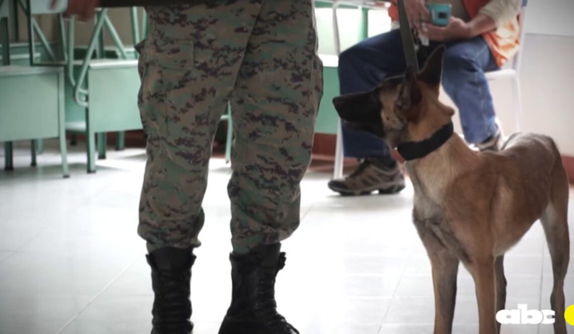 Background ABCTV JWP