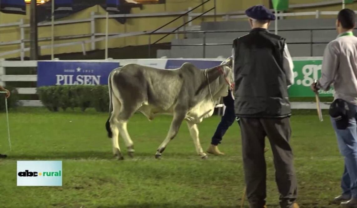 Background ABCTV JWP