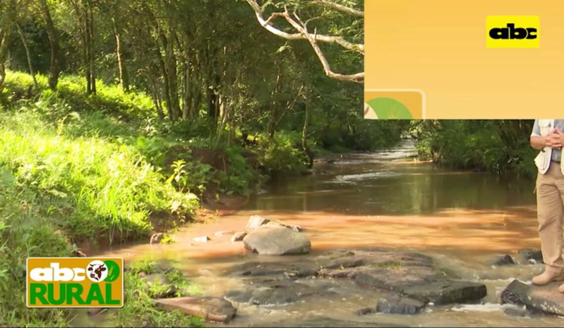 Background ABCTV JWP