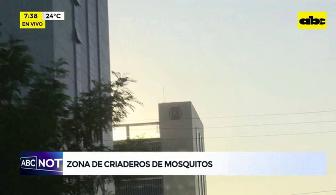 Background ABCTV JWP