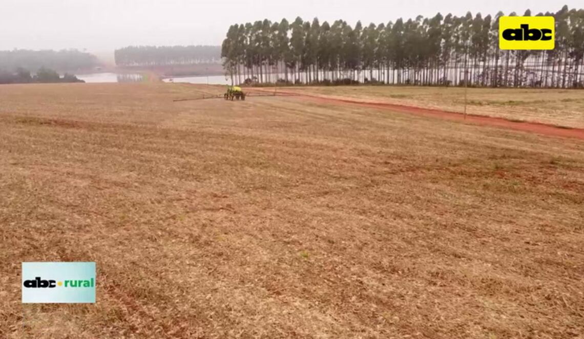 Background ABCTV JWP