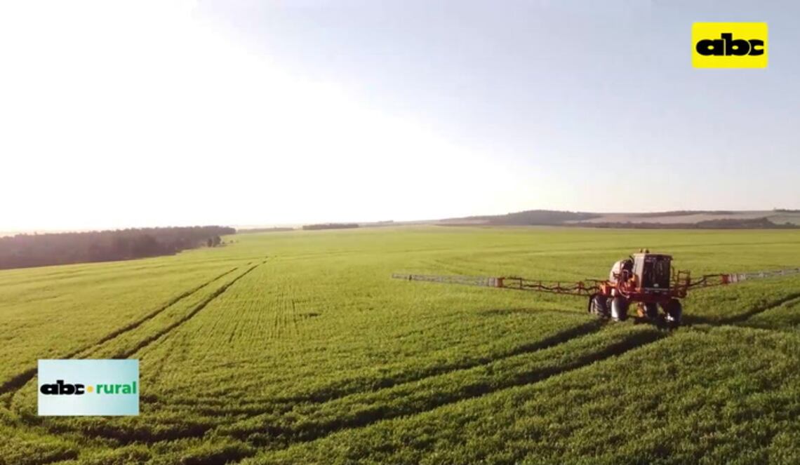 Background ABCTV JWP