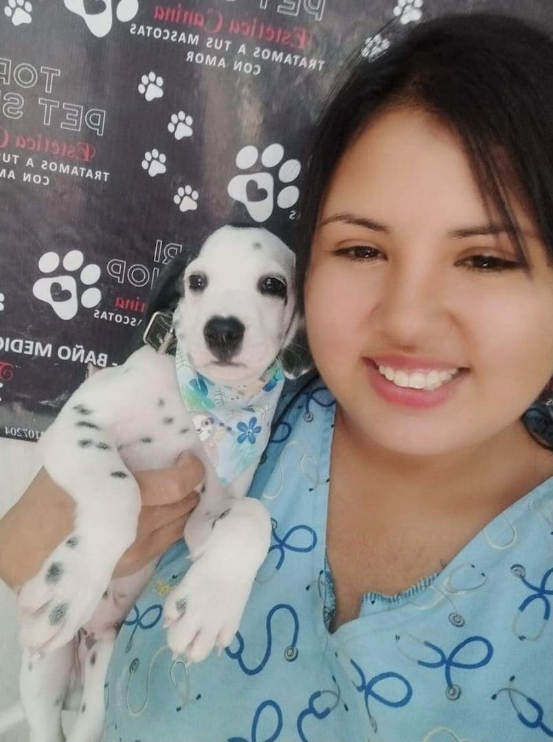 los perros viven mas ahora