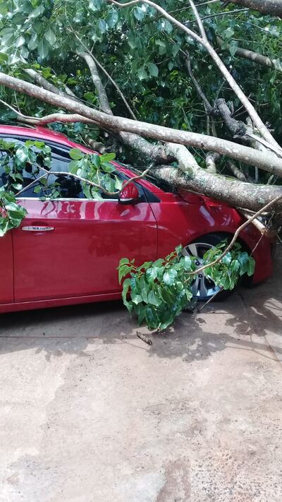 El automóvil no logró safar y quedó con daños materiales.