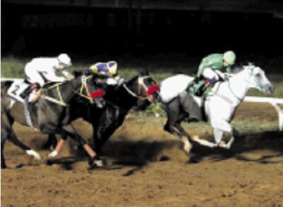 Desde el domingo retornan las sueltas en el hipódromo.