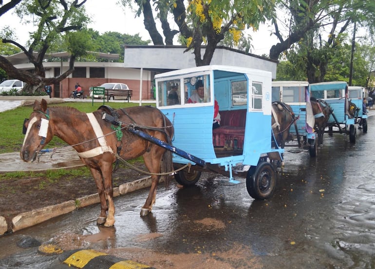 Parada del karumbe al costado de la terminal de ómnibus de Villarrica. Son un atractivo particular de esta ciudad donde muchas cosas funcionan al revés.