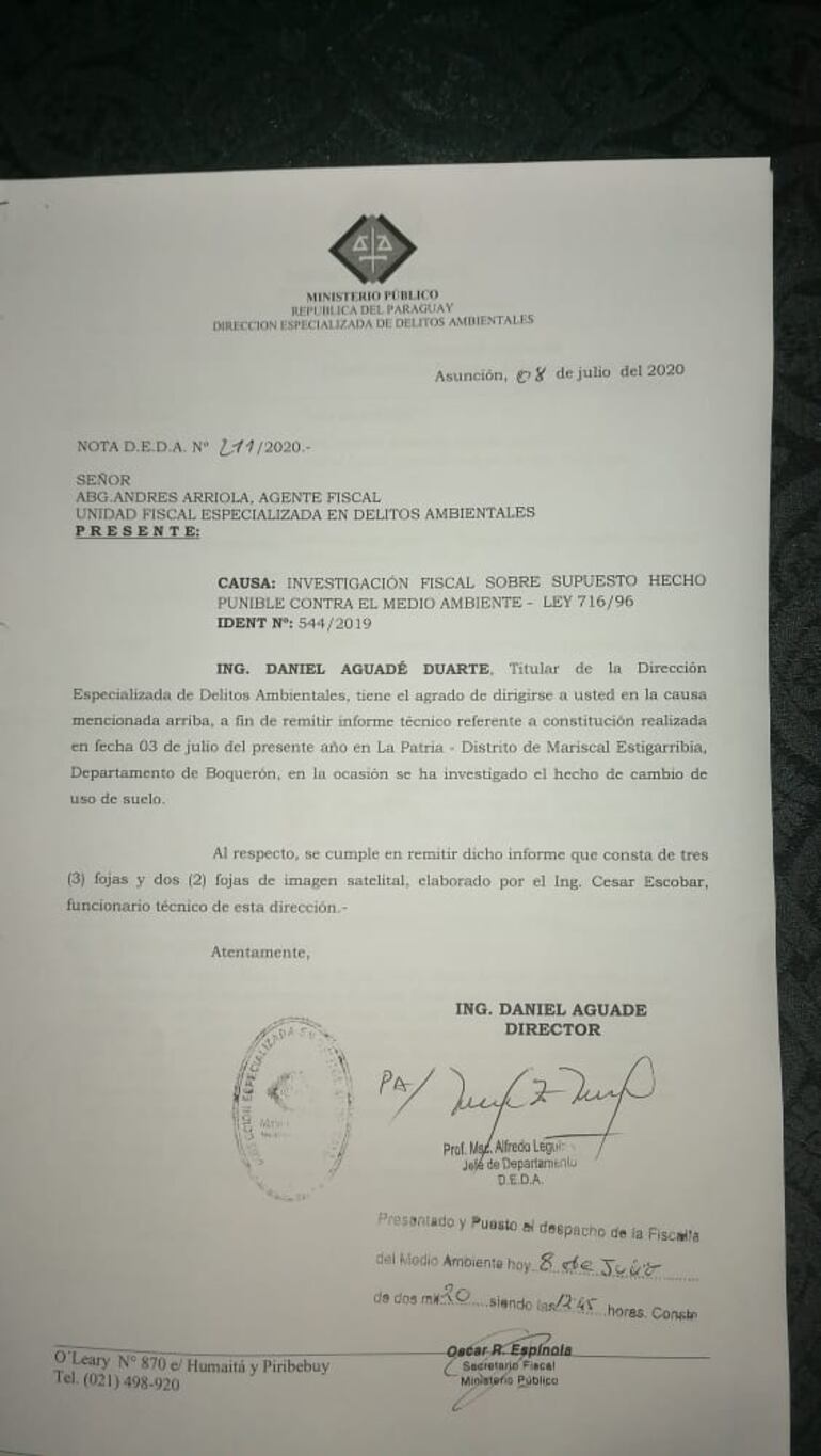 Firma deberá reponer miles de hectáreas deforestadas.