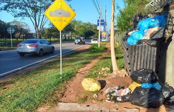 Una gran cantidad de basura se observa en la avenida Cadete de Boquerón de la ciudad de San Antonio