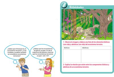 Ecosistemas terrestres