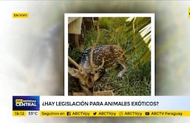 Animales ex.