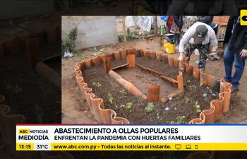 Enfrentan a la pandemia con huertas familiares