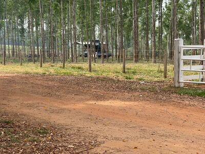 Instalación que realizaron los hermanos Giménez en una propiedad en conflicto y luego fueron denunciados por invasión.