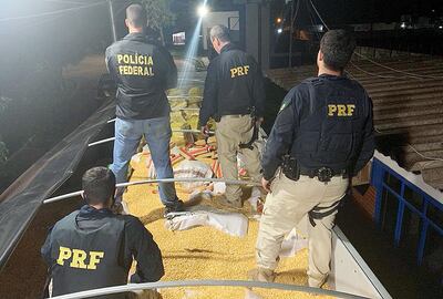 Efectivos de la Policía Federal y la Rodoviaria verifican el cargamento de droga, que iba oculto bajo granos de maíz, en un camión rumbo a Río Grande del Sur, Brasil.