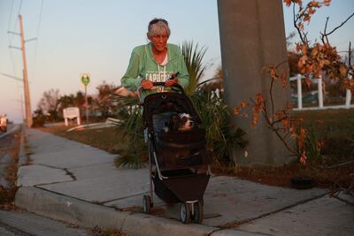 Hay que proteger a nuestra mascota de la lluvia, pero es inevitable que se moje un poco, es parte de la naturaleza. Hoy compartimos algunos consejos para mantener su salud.