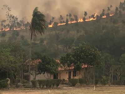 Las llamas arrasaron ayer con 40 hectáreas de una propiedad, en el  límite de San Ber con Altos.