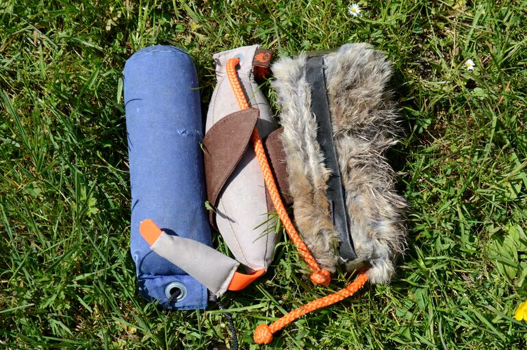 Los juguetes con una bolsa de alimento integrada son óptimos para las primeras fases del entrenamiento canino.