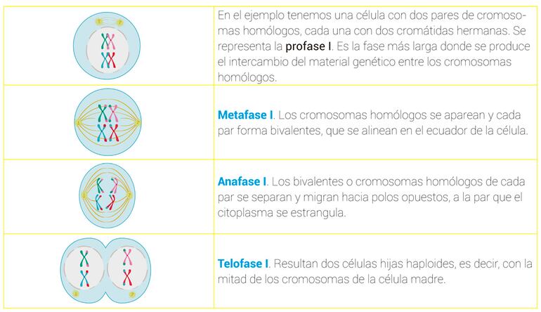 /pf/resources/images/abc-placeholder.png?d=2425