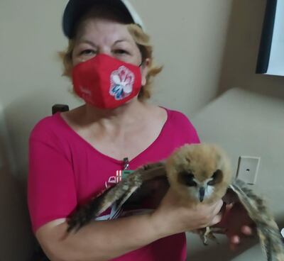 La jefa de Protección Animal de la Municipalidad de San Lorenzo, Antonia Rojas, junto a varias animales rescató un búho del poder de los nativos, que la persiguieron por el mercado.