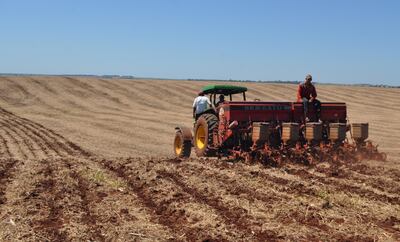 El momento de siembra y densidad de plantas son partes importantes para lograr más adelante una buena cosecha de soja.