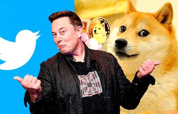 Elon Musk, propietario de Twitter: a la izquierda se ve el icónico logo de la plataforma y a la derecha al perrito "Doge", un reconocido meme de internet.