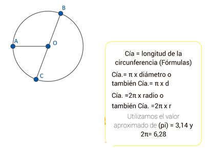 Circunferencia