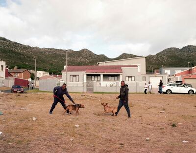 Dos hombres posan con sus perros en Ocean View, Cape Town.