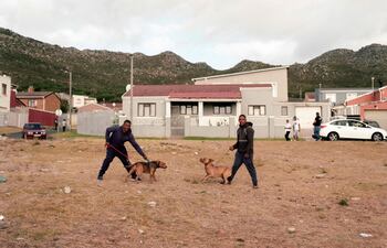Dos hombres posan con sus perros en Ocean View, Cape Town.