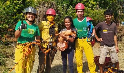 Los bomberos K15 de Ñemby rescataron a una mascota que cayó a un pozo ciego