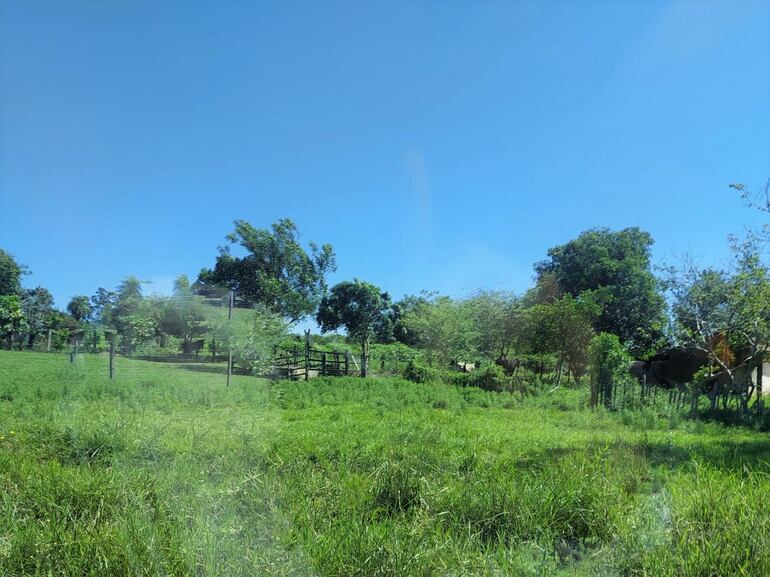 Según el abogado de Gladys Marina Centurión contra Rogelio Sosa Castillo, la parte trasera de la casa es la que va ir a remate