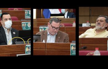 Rofolgo Friedmann, Javier Zacarías Irun y Sixto Pereira.