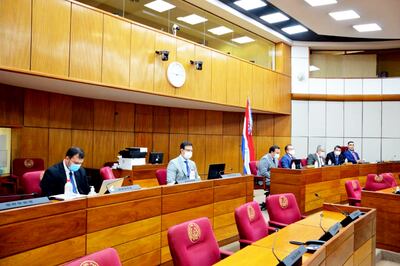 Andrés Gubetich (centro), presidente de IPS, en la sala de sesiones de Senado, recibió críticas.