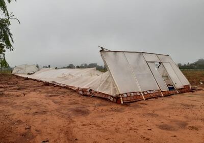 Un invernadero de   Calle 8.000  Chachí del distrito de Guayaybí se desplomó por la fuerza de la tormenta.