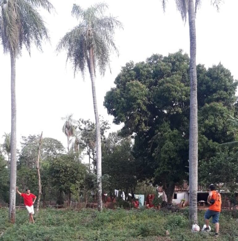 /pf/resources/images/abc-placeholder.png?d=2395