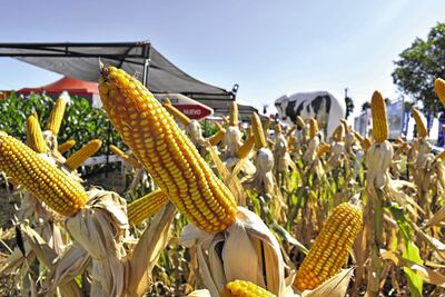 Agro Show Copronar se lució