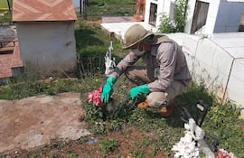 Tareas de limpieza realizadas por los funcionarios de Senepa.