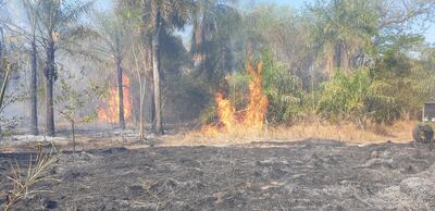 Imagen sin descripción