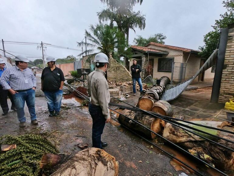 La caída de una palmera imperial de gran porte causó destrozos en una vivienda y en el tendido eléctrico.
