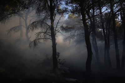 Persisten los incendios forestales en Grecia.