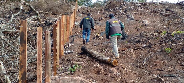 Fiscalizadores del Mades verifican la tala de árboles nativos fueron talados y quemados para producir carbón