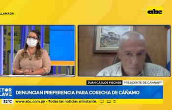 Denuncian preferencia para cosecha de cáñamo