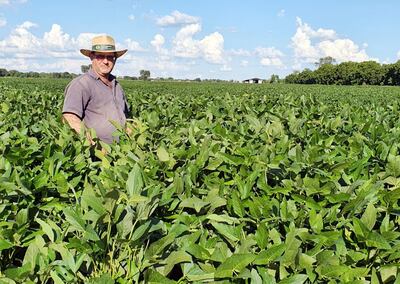 Egon Neufeld, meses atrás en su parcela de soja, en Alto Chaco.