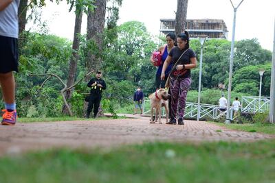 La municipalidad exigirá que las mascotas lleven puestos los elementos de protección cada vez que salgan a la vía pública.