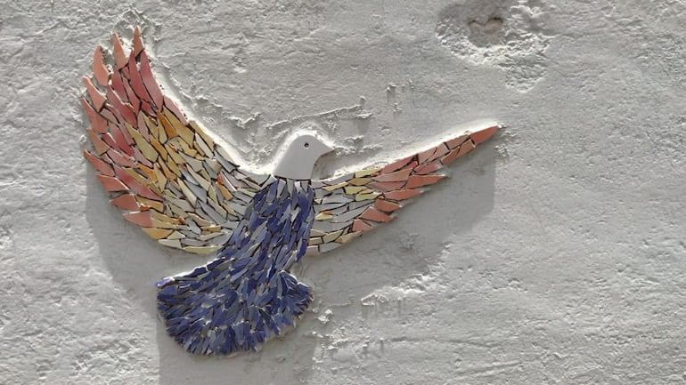 Moxel Atelier Cementerio Recoleta