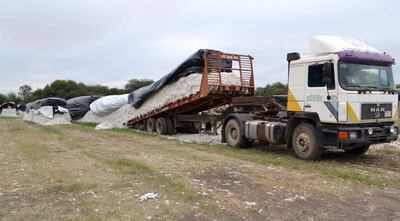 Descarga de algodón con succión, de un semicamión en la planta de recepción.