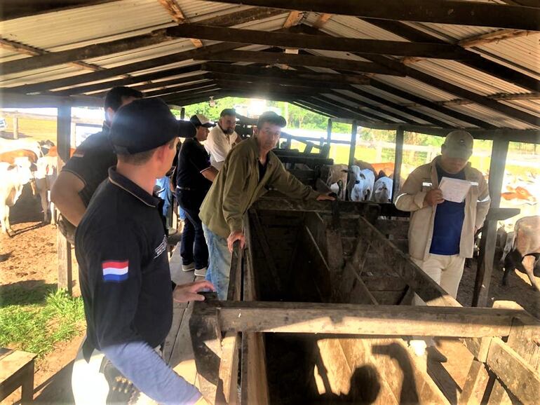 La comitiva fiscal -policial procedió a la verificación de los animales