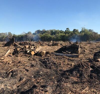 Una comitiva del Ministerio Público detectó el delito ambiental.