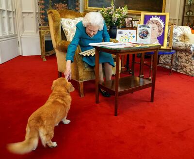En esta foto de febrero de este año se ve a la reina Isabel II acariciando a Candy, su corgi.