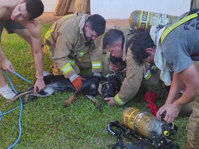El perro finalmente logró recuperarse tras haber inhalado una importante cantidad de humo.